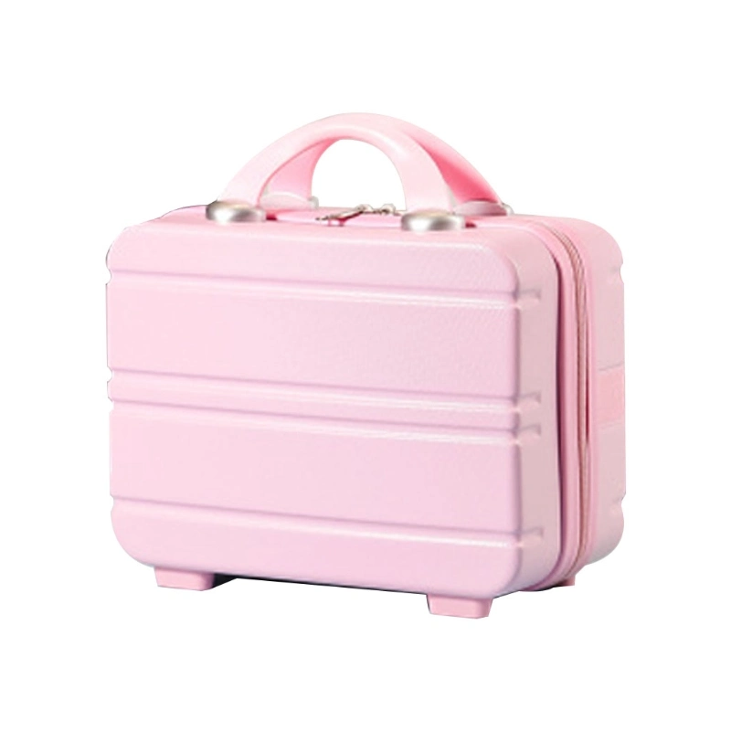 Beauty Ladies Plastic Carrying Cosmetic Bags OEM