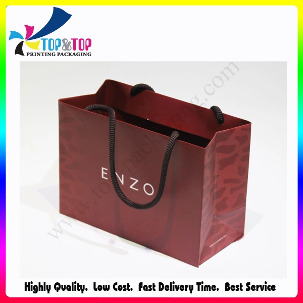 Recycle Custom Printing Paper Gift Bag for Promotion