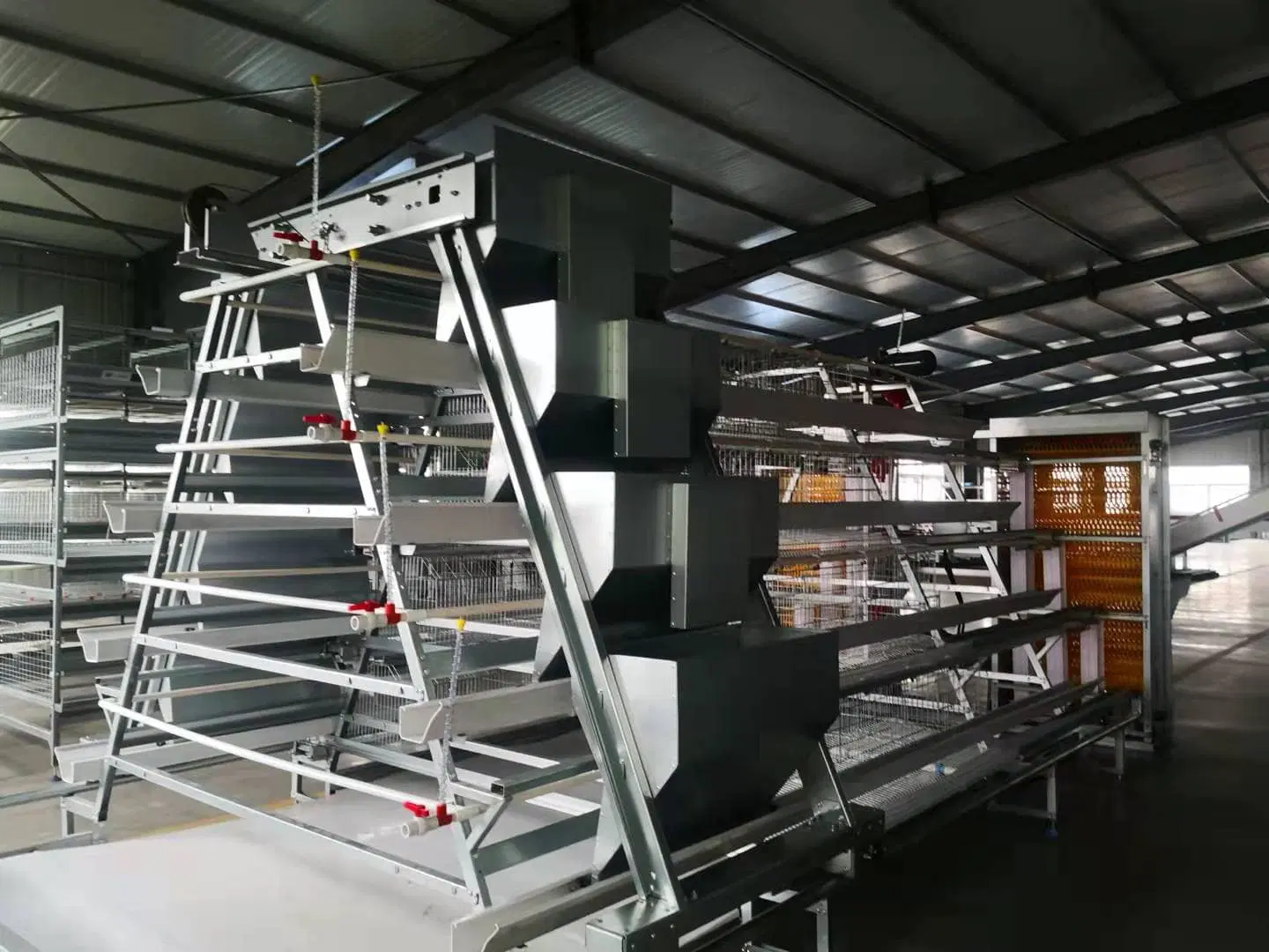 Automatische Fütterungsgeräte für Geflügelzucht Battery Cage System für Broiler Ebene