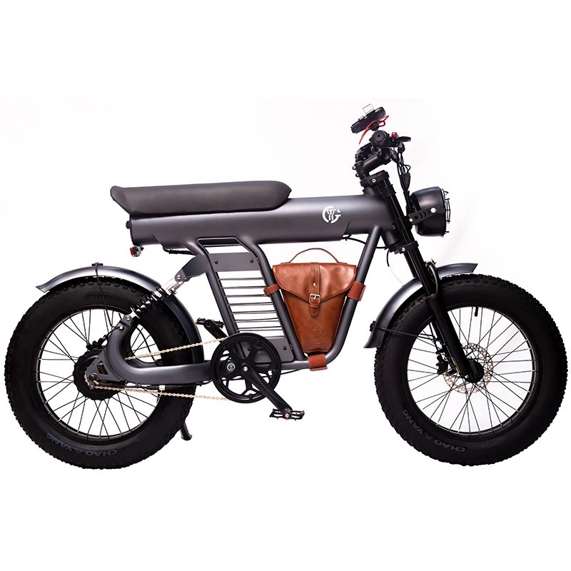 Bateria de iões de lítio de 100 V CA eBike motociclo elétrico 20 48 V. E Bicicleta