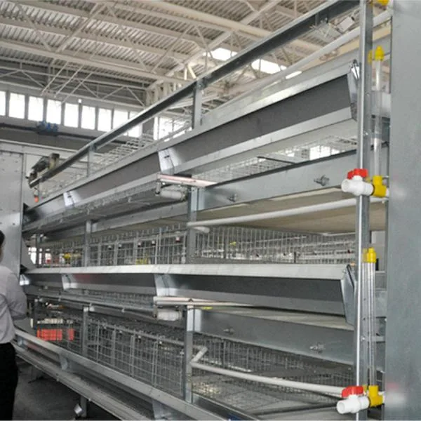 2023 Hot Sale Automatic Poultry Farming Equipment Chicken Layer Battery Cage