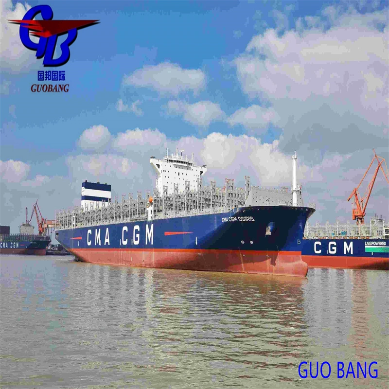 Shipping Service/ Logistics / Shipping Forwarder From China to Middle East Ports