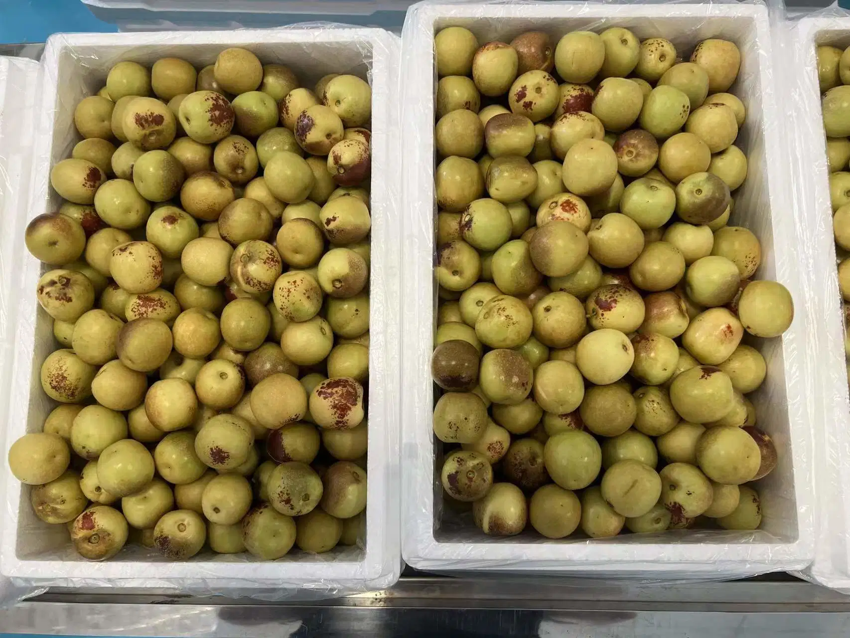 2022 Nova cultura doces frescas Datas de maçã fresca de frutos Jujube Jujube Inverno para exportação