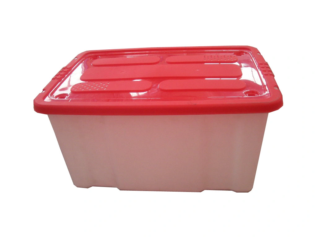 Custom Plastic Injection Products (laundry box)