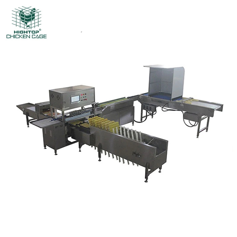 Hightop Commercial Poultry Equipment Egg Washer And Grader Egg Sorting Grading Machinery