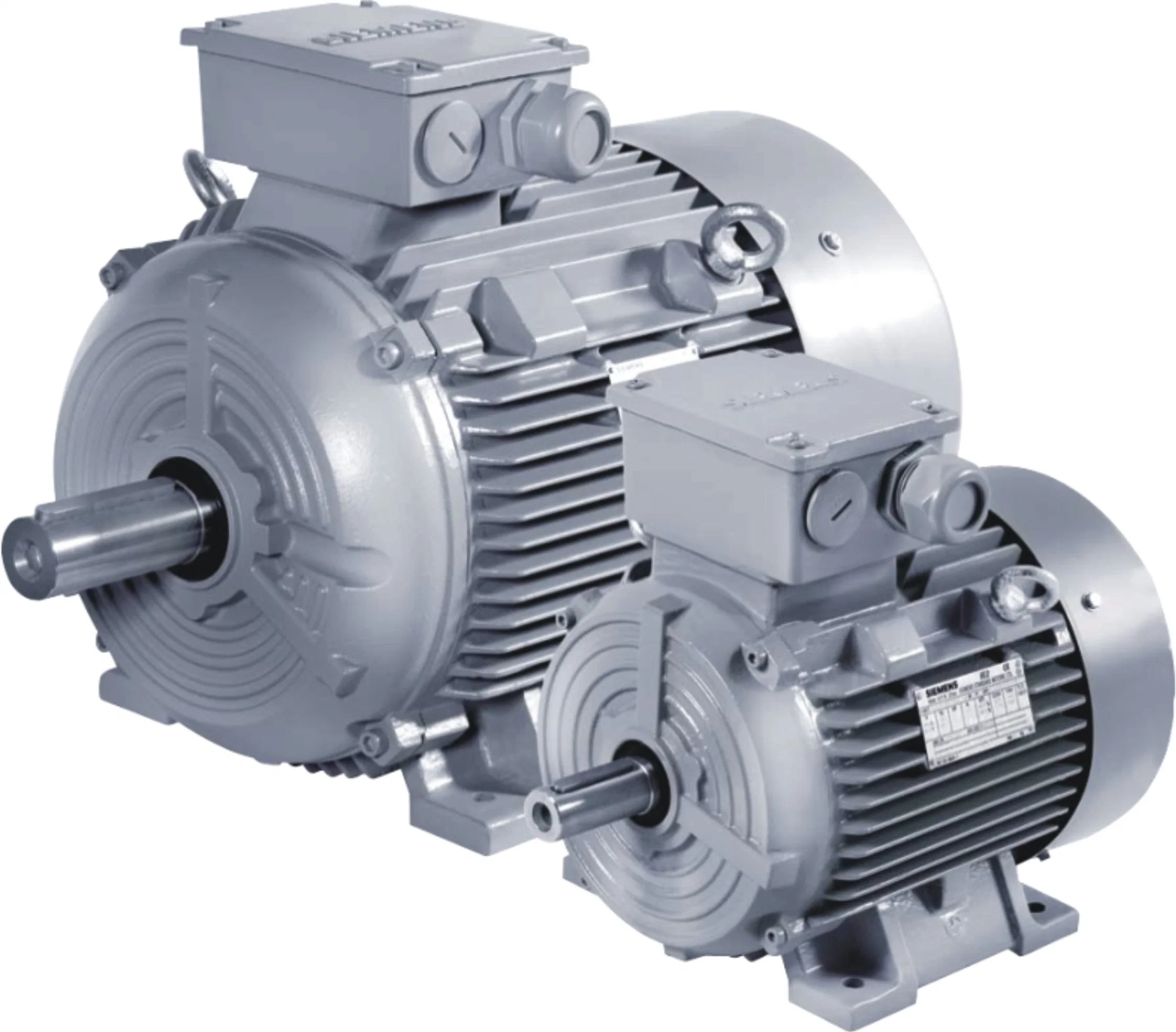 Siemens China High Efficiency 3 Phase Low Voltage Induction Cast Iron AC Electric Motors