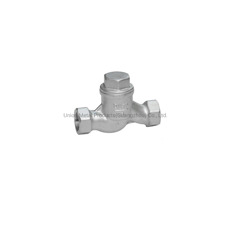 Stainess Steel Pipe Fitting SS304 SS316 Lift Check Valve