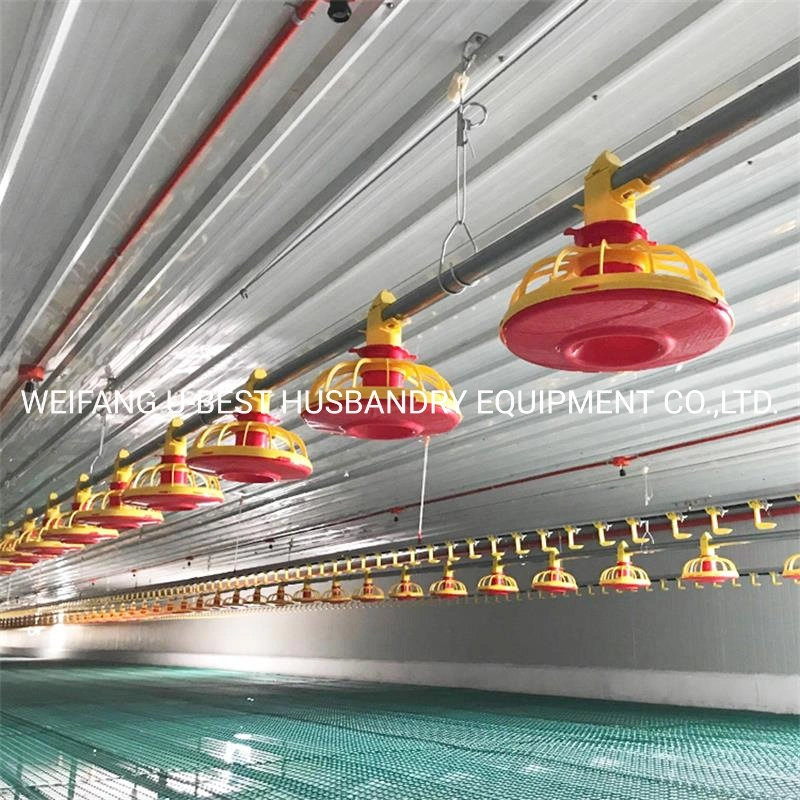 Poultry Farm Equipment Automatic Chicken Feeding and Drinking System for Sale