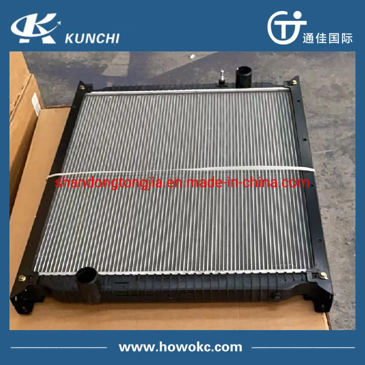 Shacman Camc FAW Foton Dongfeng Truck Parts Weichai Spare Parts Wg9719530276 Intercooler Water Tank Engine Radiator