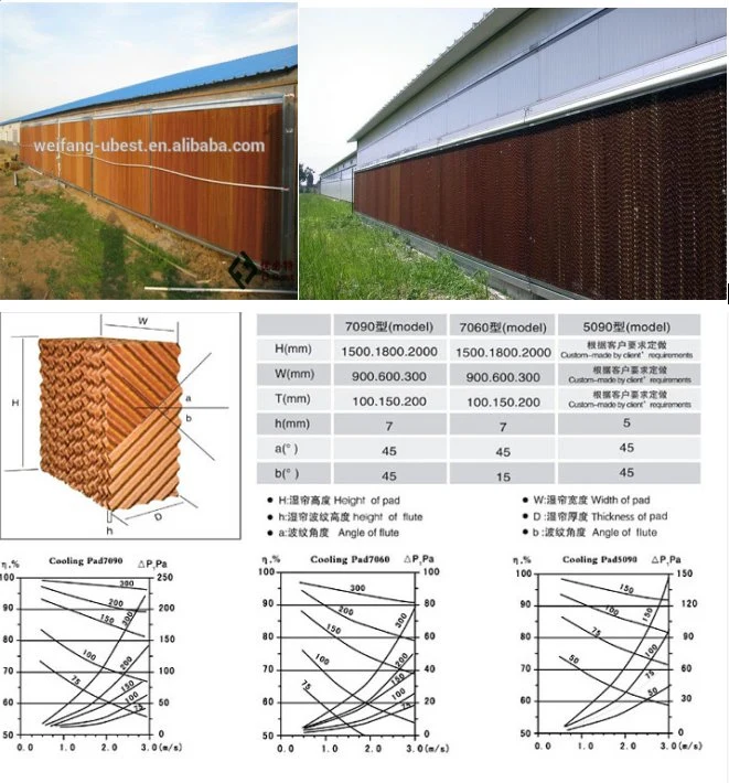 7060/5090/7090 avícula Fazenda estufa / avícula Casa Evaporative Cooling Pad Ar Sistema de arrefecimento