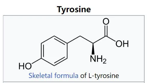 Factory Price Amino Acid L-Tyrosine USP39 Tyrosine Aji92 99% Tyrosine