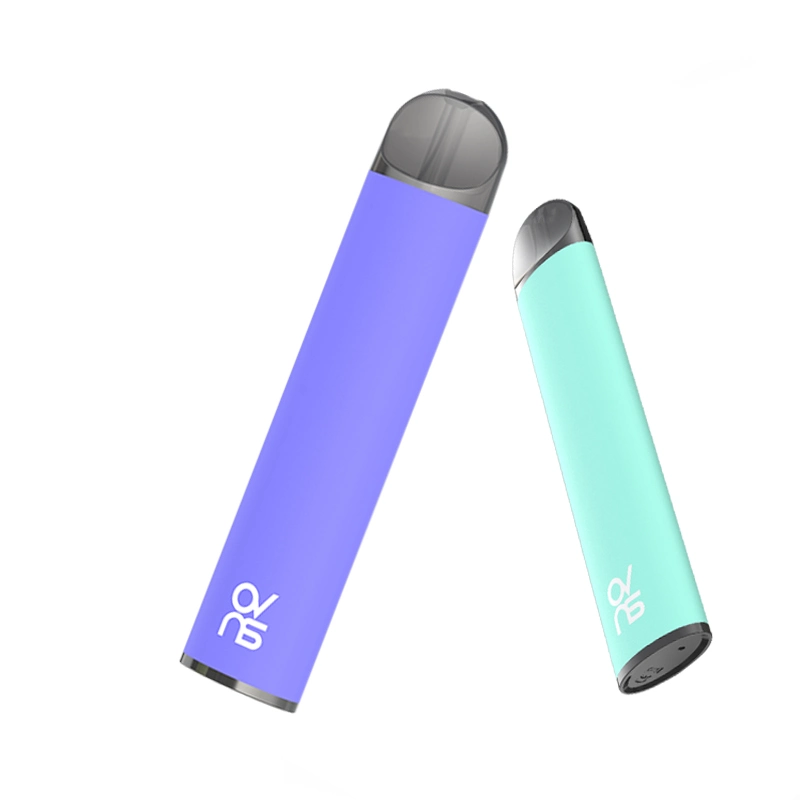 Disposable/Chargeable Pod 600puffs Electronic Cigarette Smoking Vape Wholesale/Supplier