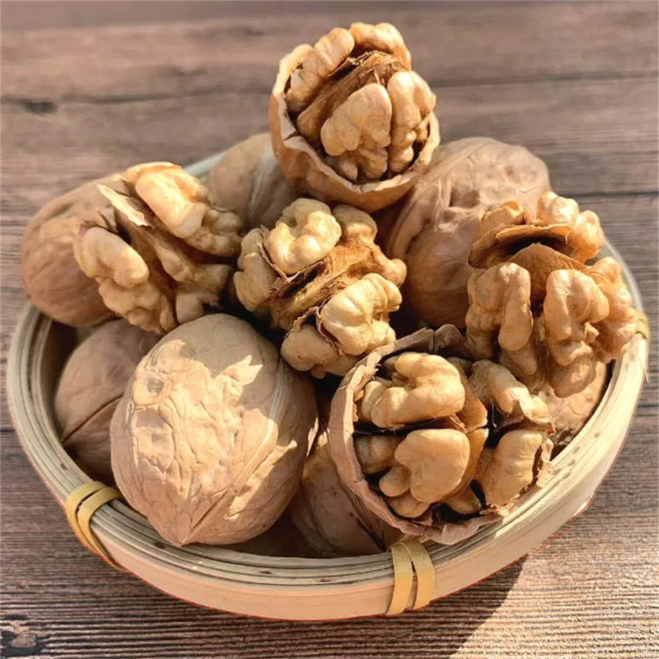 Plhing Walnut في Shell 32+، Paper Shell Walnut