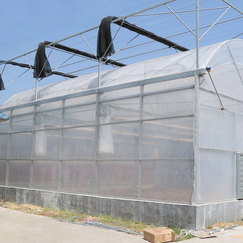 Hot Sale Film Plastic Greenhouse for Vegetable and Flowers Growing