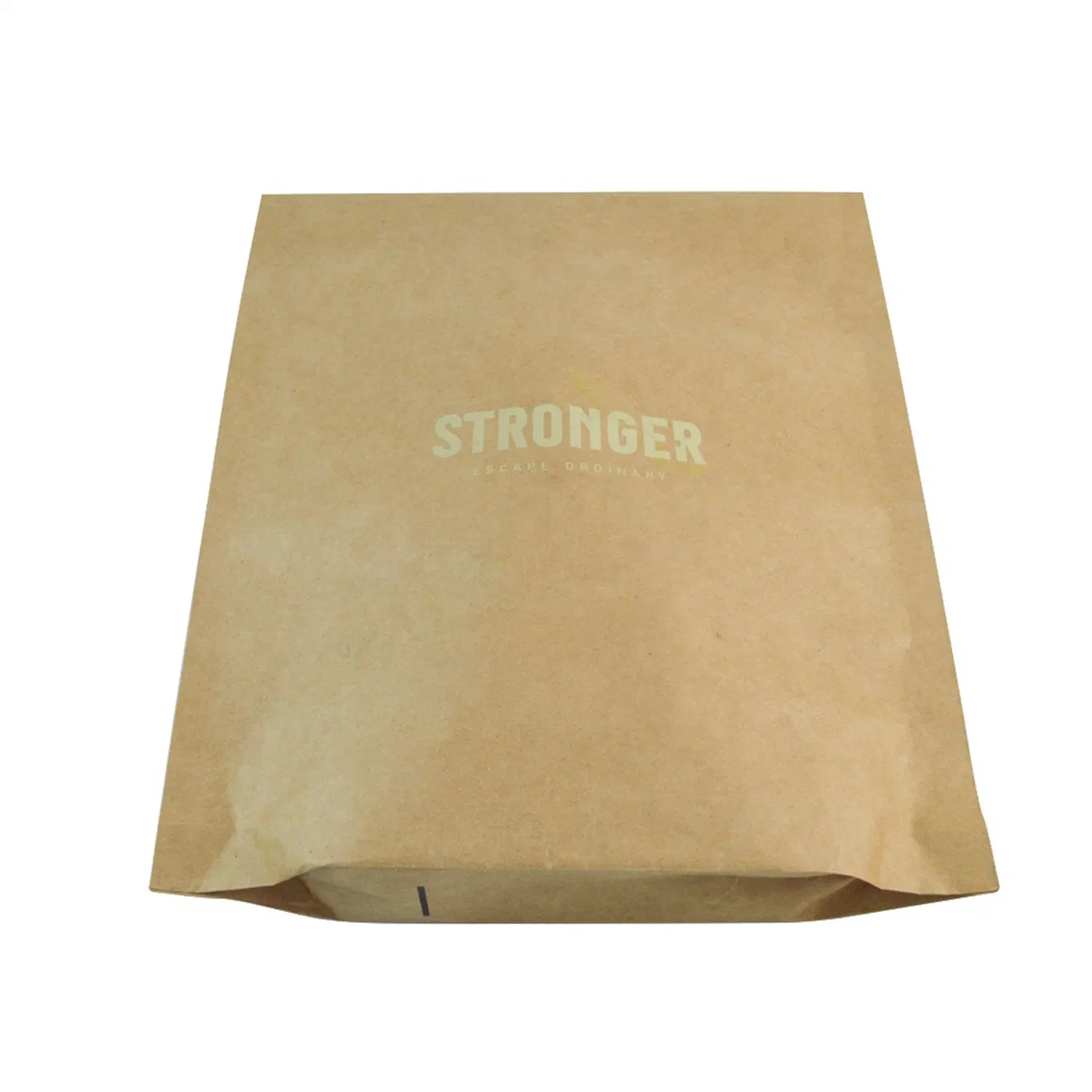 Custom Print Compostable Brown Envelopes Bubble Express Mailer Bags Kraft Paper Gift Packaging Packing Bag