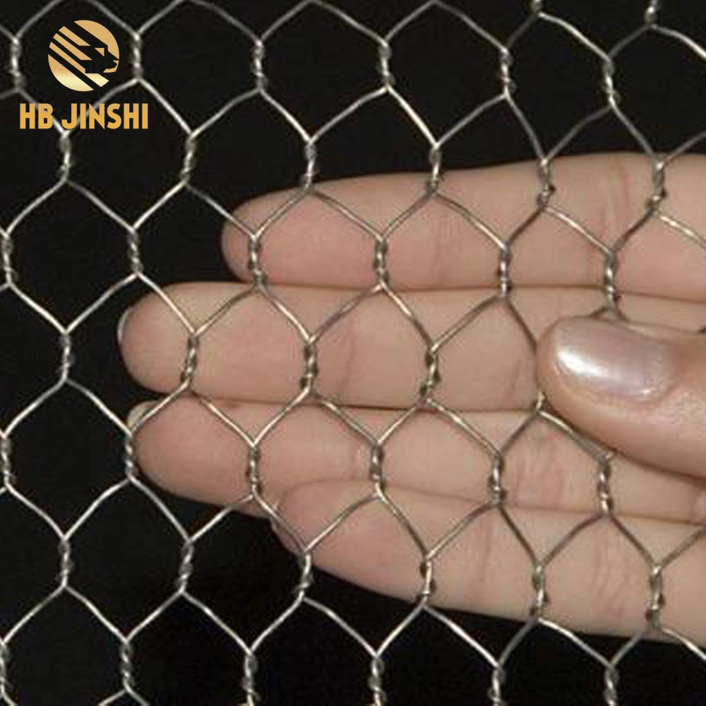 0.9mm Wire Galvanized Hexagonal Wire Mesh Fence