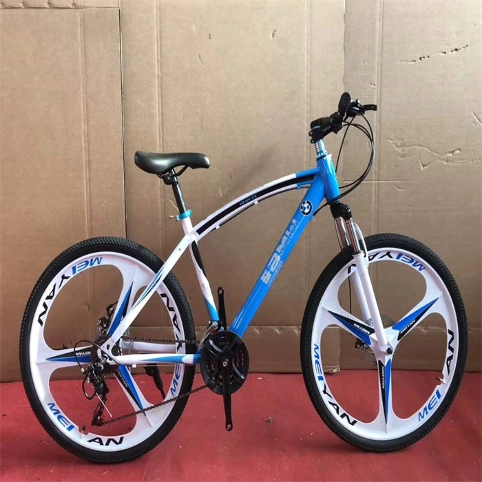 China Cheap Wholesale High-Carbon Steel Cool Sport Bicycle Racing Mountain Bike for Sale