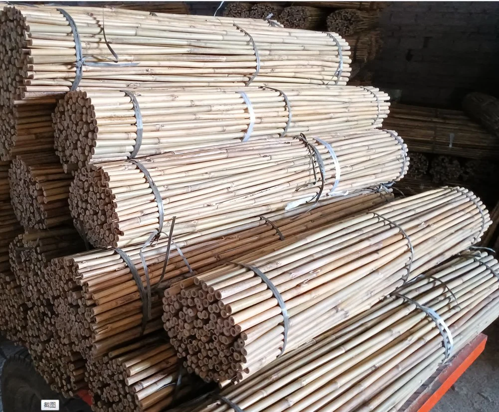 China Cheap Tonkin Natural Bamboo Poles