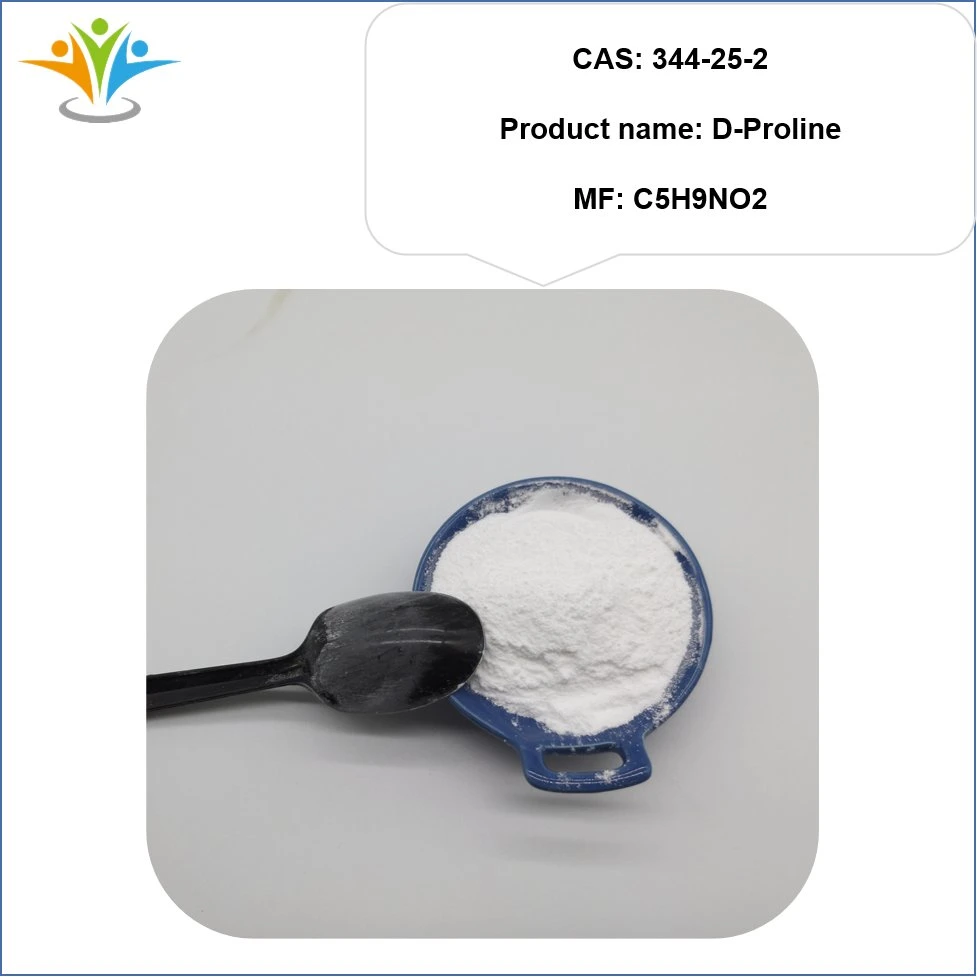 Factory Supply CAS 344-25-2 D-Proline