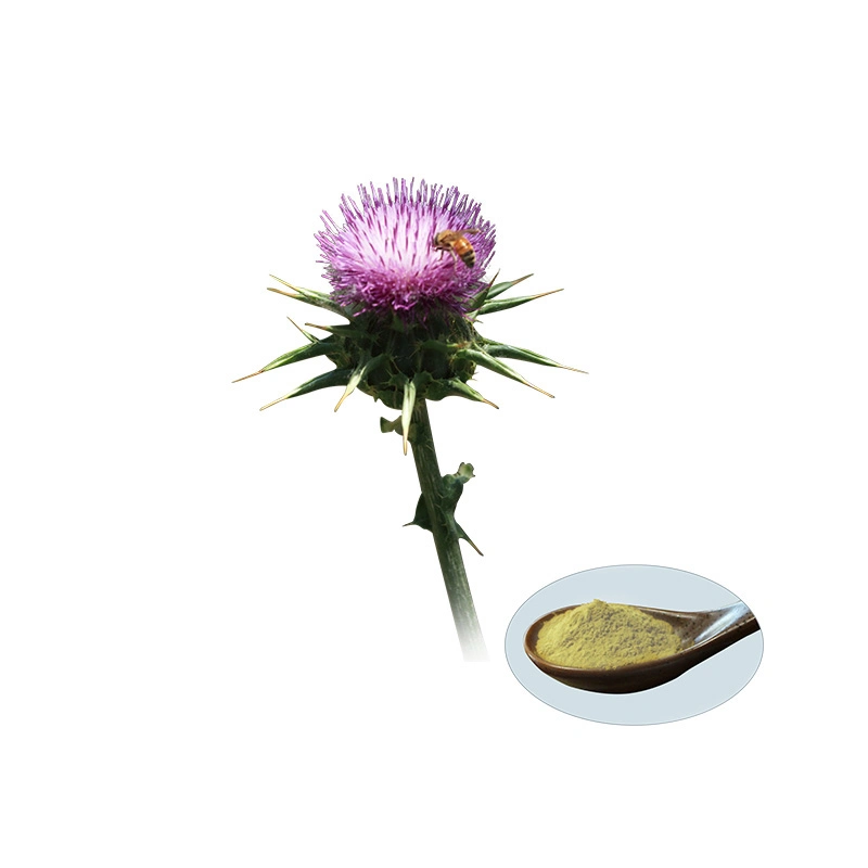 Delore Organic Silibin Silymarin 80% Milk Thistle Extract Powder Silymarin Milk Thistle Extract