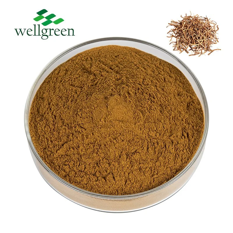 Wellgreen Nutritional Supplement Herbal Plant Valerian Officinalis Root Extract Valeric Acid Powder