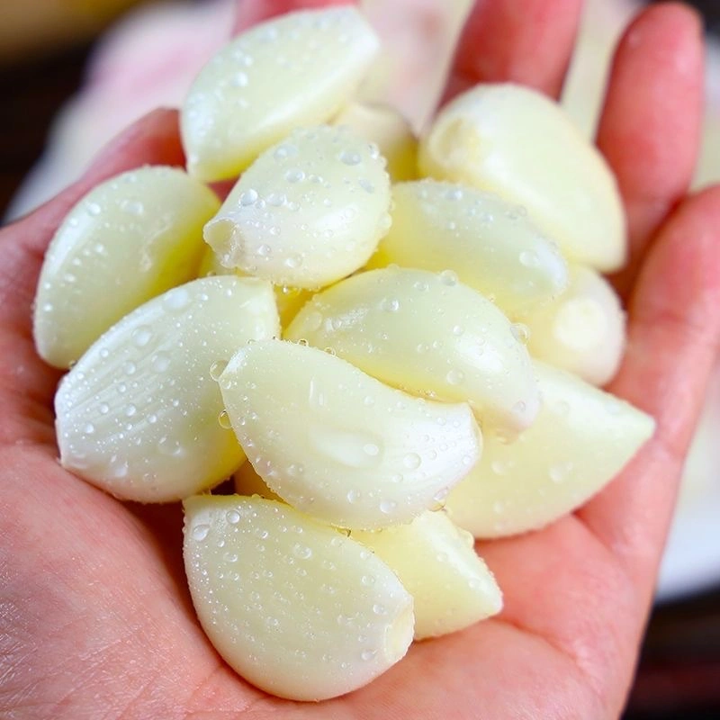 China Exports Fresh Vegetables Naturally Grown Garlic Fresh Garlic in Bulk Wholesale/Supplier