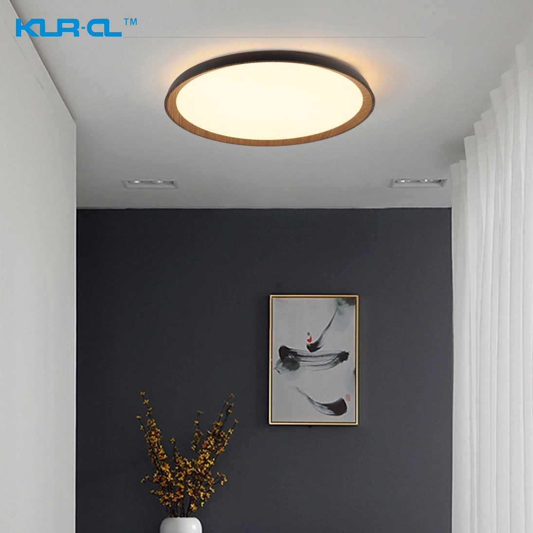 Flush Mounted Intelligent Digital LED Lamp Fittings Home Ceiling Light