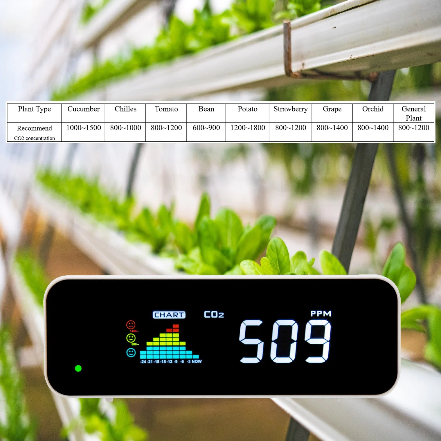 Digital Carbon Dioxide Detector Desktop CO2 Sensor for Greenhouse, Hydroponics