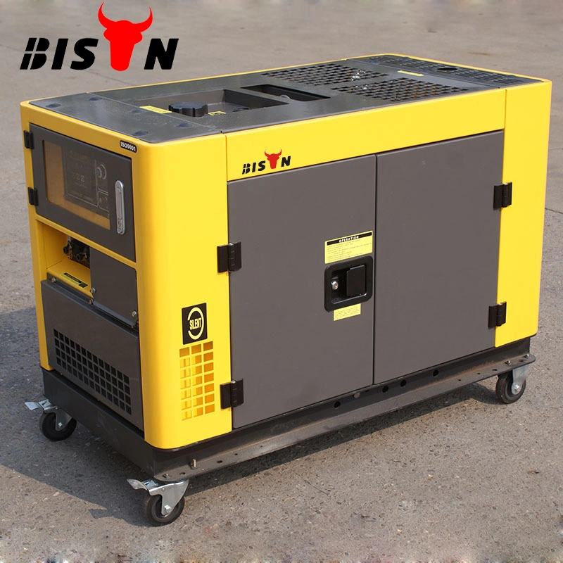 Bison (China) BS12000t 10kw Experienced Supplier Round Frame Single Phase Diesel Generator Fuel Consumption Per Hour