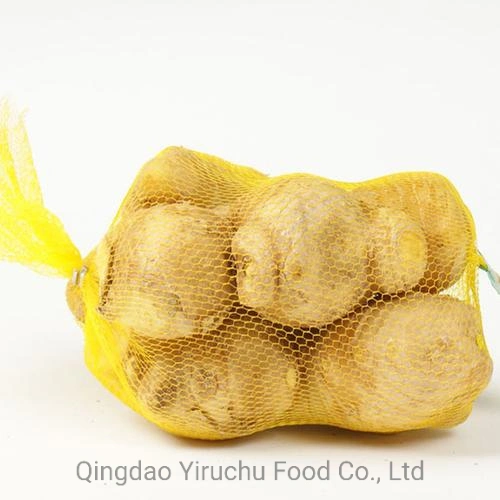 Strictly Selected High Quality Ginger Factory Price Shandong Dry Ginger From China