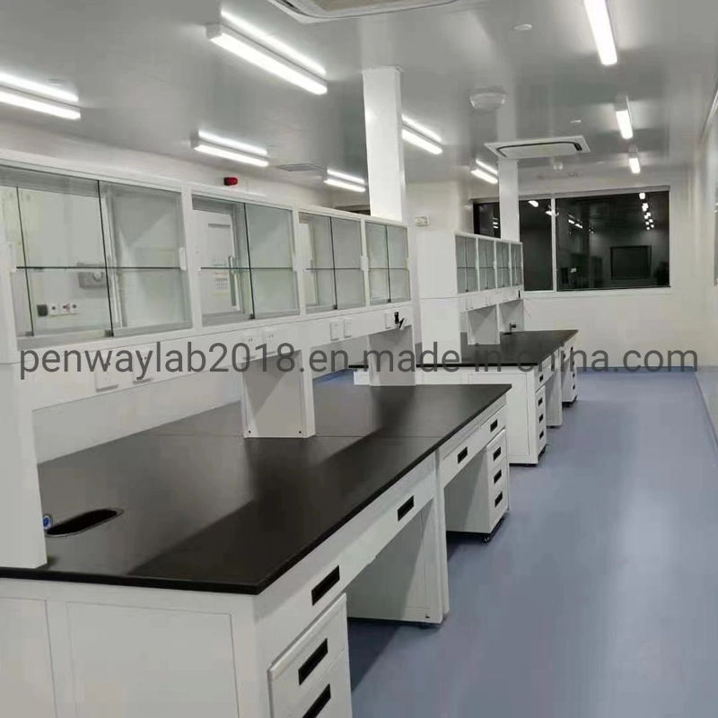 Durable Microbiology Laboratory Chemical Lab Cabinet Furniture