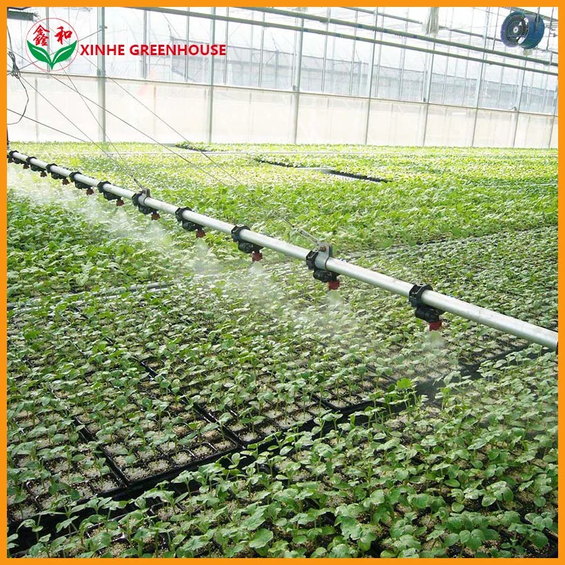 Customized Size 275g Galvanized Steel Plastic Film Covering Greenhouse with Farm Irrigation System for Planting/Vegatables/Fruit/Tomato/Cucumber/Lettuce/Pepper