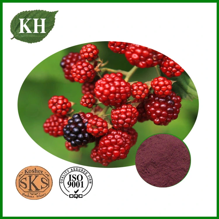 Raspberry Extract 5% Raspberry Ketone 20% 25% Anthocyanidins