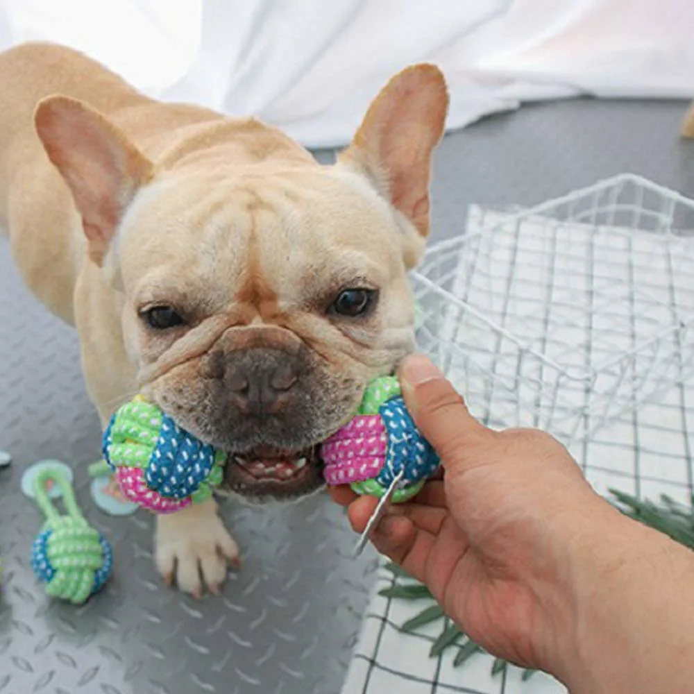 Les animaux de compagnie de la corde Jouets Balle 100% coton sans BPA de mâcher des jouets pour chiens de taille petite à grande, Pack de 3