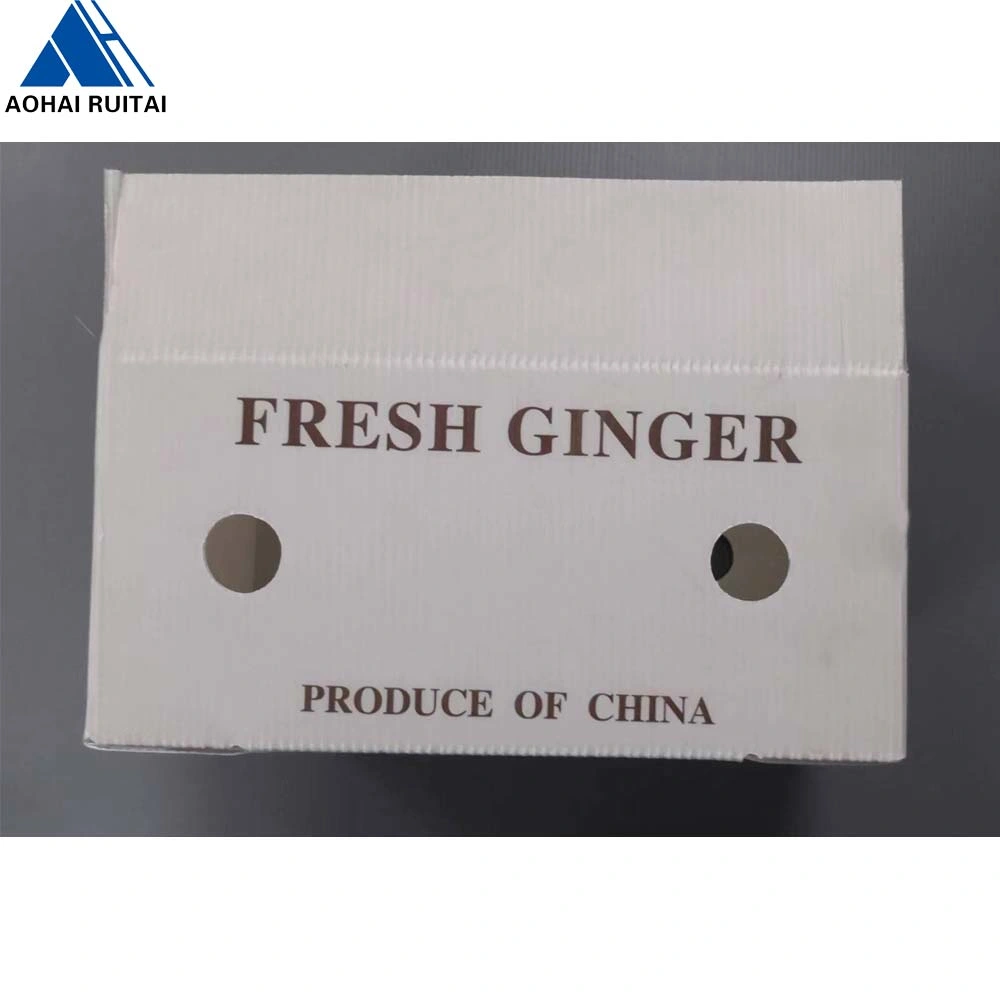 Good Quality Factory OEM PP Polypropylene Corrugated Hollow Plastic Carton Boxes