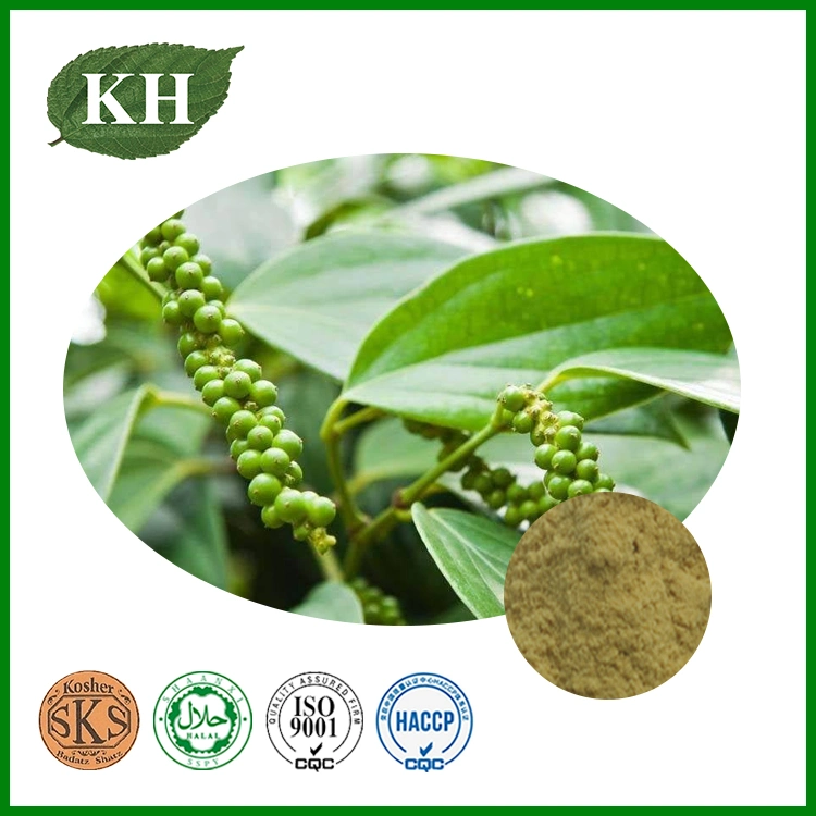 Top Quality & Natural Black Pepper Extract (5%-98% Piperine)