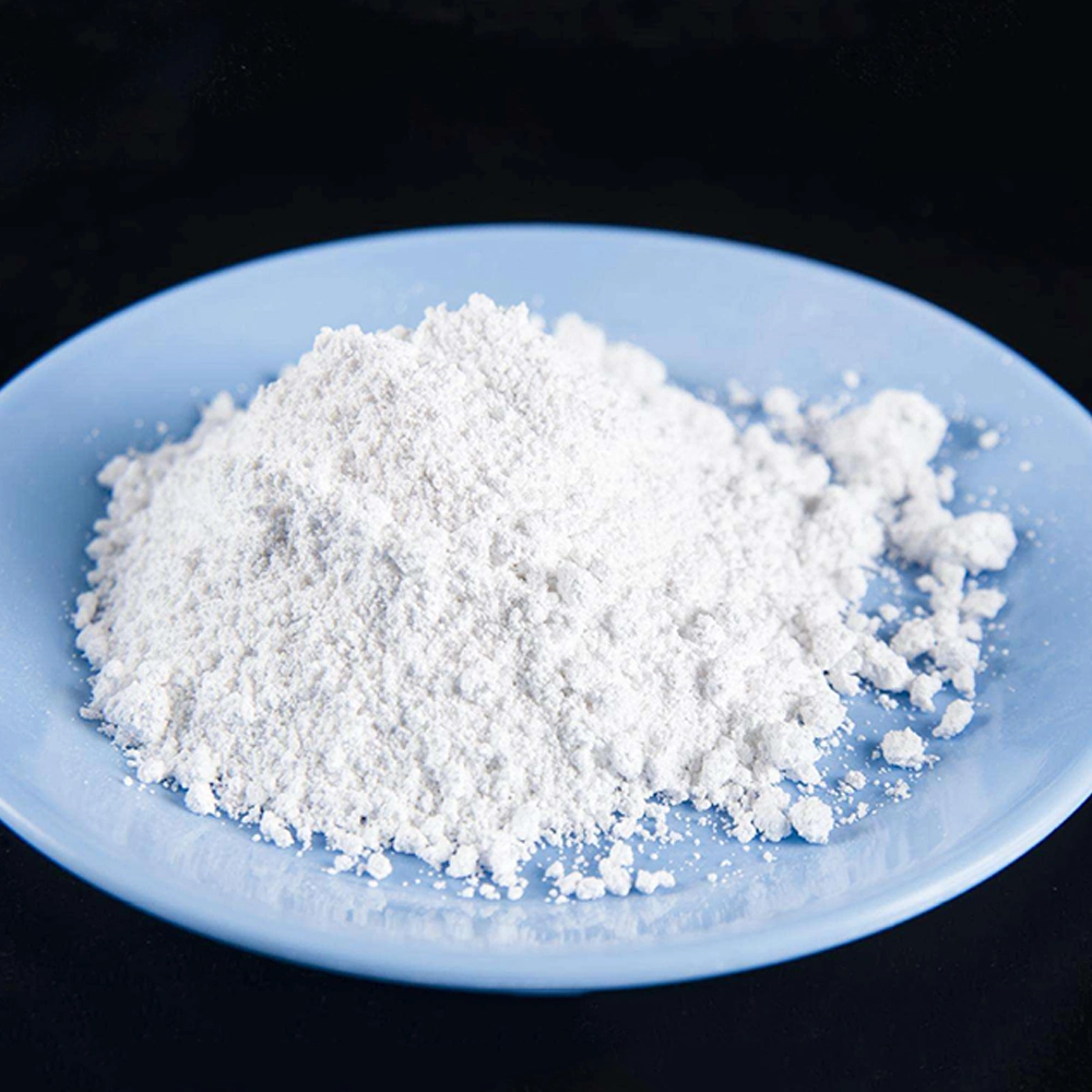 CaCO3 type lourd du carbonate de calcium pour la peinture en plastique de revêtement en caoutchouc du savon détergent comme un bouchon de remplissage