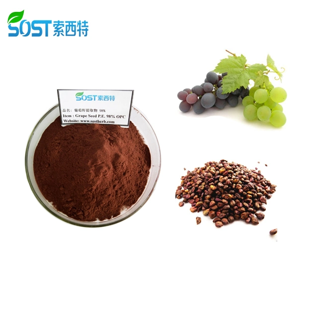 100 Percent Top Quality Grape Juice/Seed Powder Extract