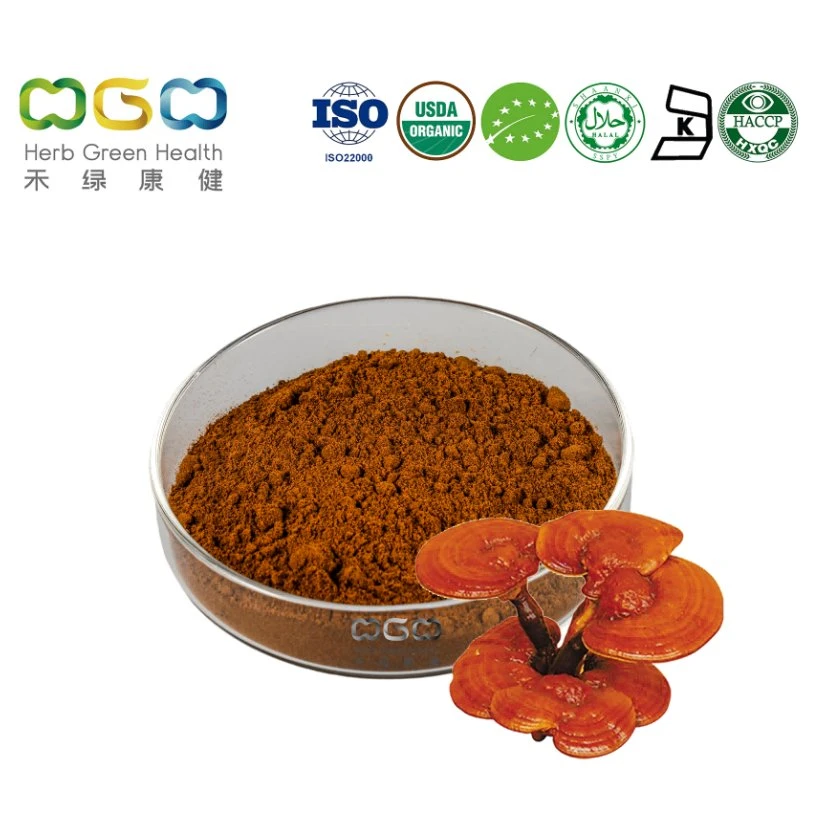 Factory Supply Wholesale/Supplier Natural Pure Ganoderma Lucidum Powder Triterpene 30% Polysaccharide 30% B-Glucan 10% Organic Reishi Mushroom Extract