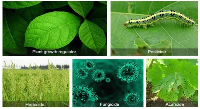 Modification Polyalkyleneoxide Heptamethyltrisiloxane CAS 67674-67-3 Insecticides à base de silicone tensioactifs non ioniques