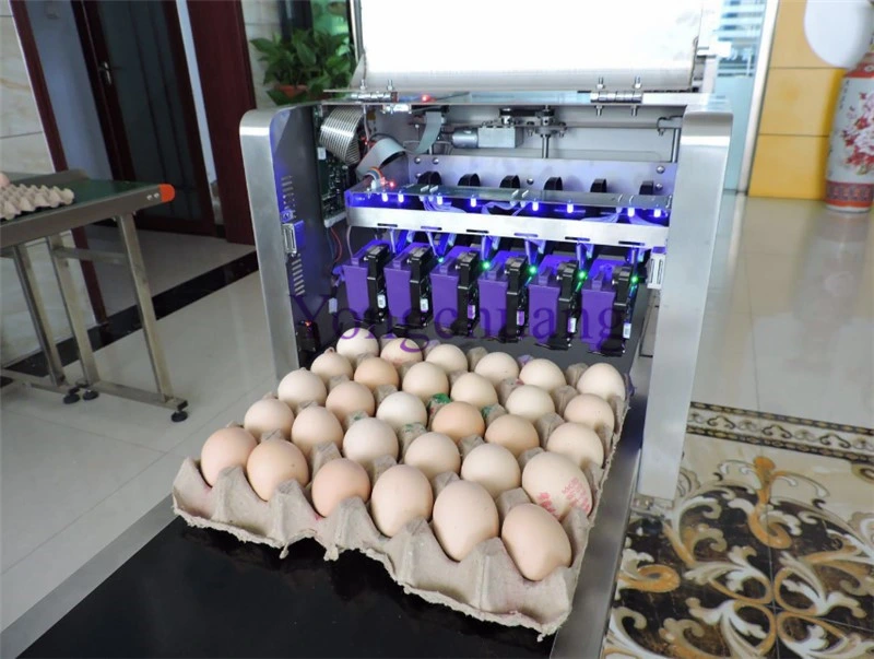 High quality/High cost performance Egg Inkjet Printer with 6 Nozzles and Conveyor