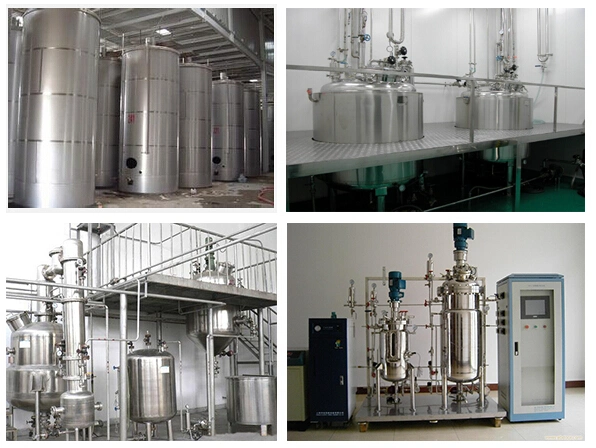 Stainless Steel Electric Heating and Cooling Reactor Fermenter Fermentor Storage Tank