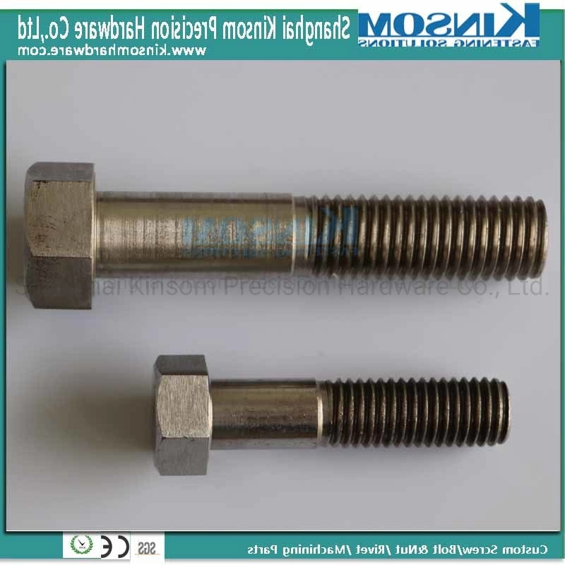 Stainless Steel 304 Hex Bolt with Partial Thread Custom Fastener/Hex Bolt/SS304 Bolt/SS316 Bolt and Nut/Flange Bolt/Carriage Bolt/Anchor Bolt Hardware