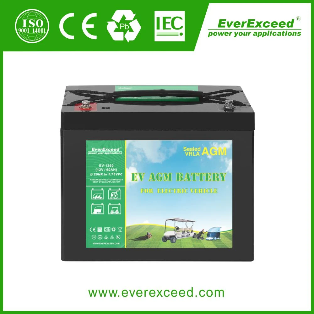 Everexceed 12V 80ah Deep-Cycle Gel Solar Battery VRLA/AGM/Rechargeable/UPS/Lead-Acid/Pack/6V/CSA