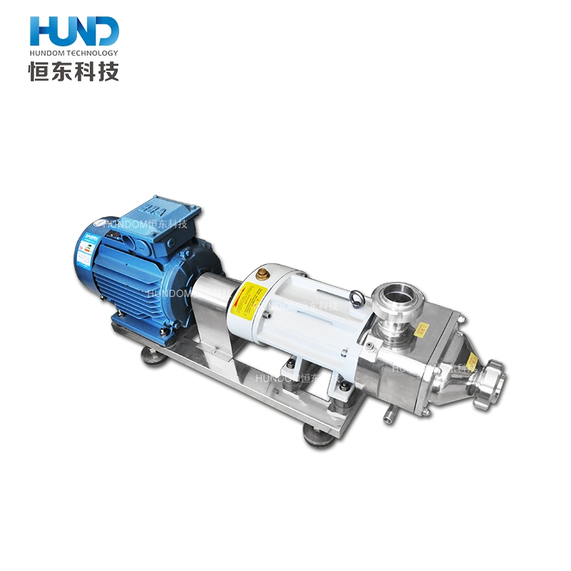 High Standard Stainless Steel Double Screw Pump