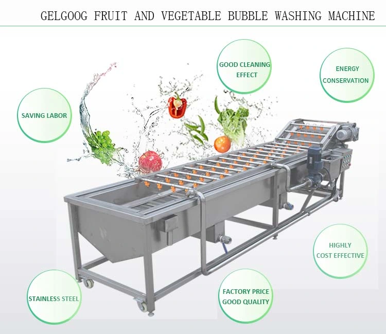 Longan Litchi Rambutan Fruit Washing Drying Line