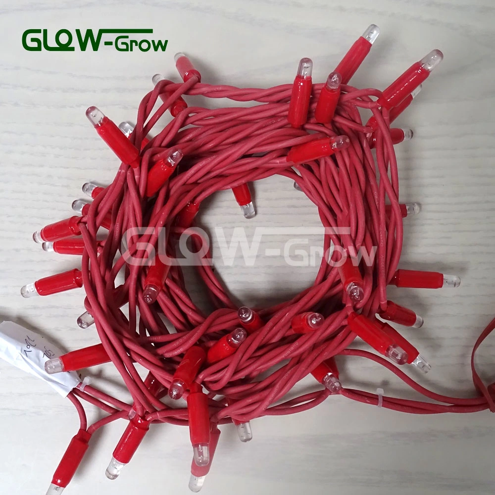 IP65 Waterproof Outdoor Use Fairy Light LED Christmas Light LED String Light Flash Light for Building Use with Flash Bulb 4+1