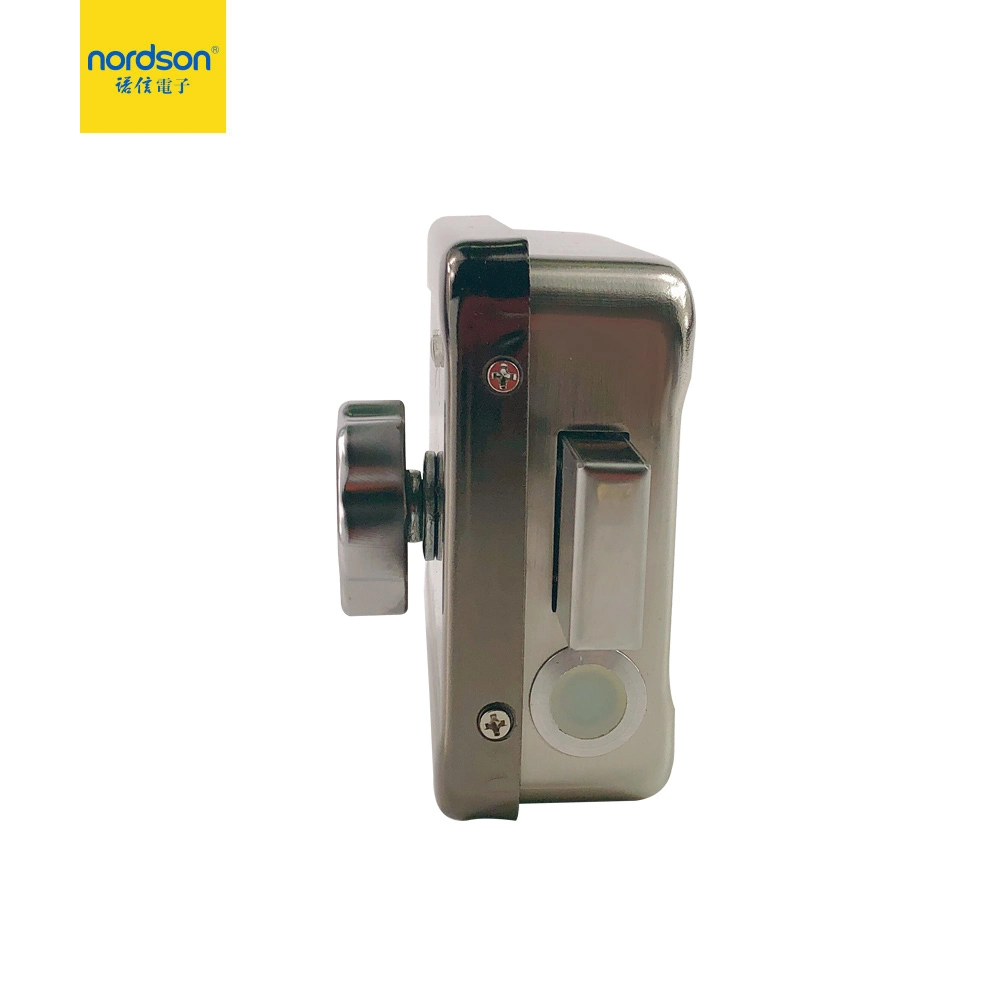 Long Lifespan Silver Electromechanical Security Gate Electric Rim Lock with Remote Control Option