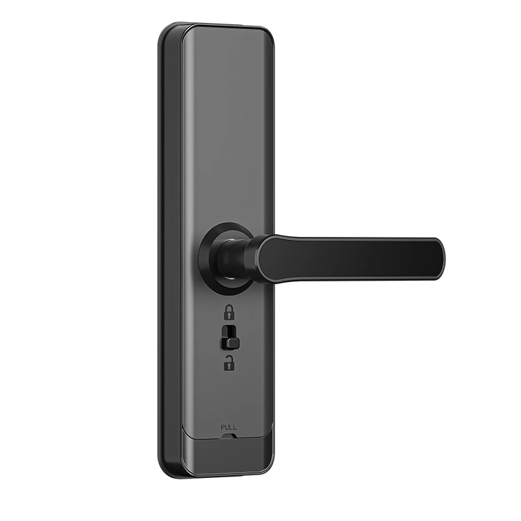 Hot Selling Factory Price Ttlock APP Smart Lock Tuya Smart Door Lock for Airbnb Apartment Condominium Hotel Smart Home