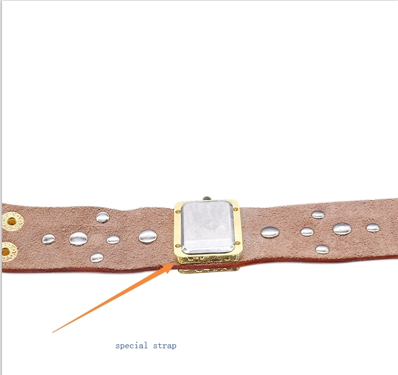 Wholesale/Supplier Wide Special Case Leather Strap Quartz Ladies Watch (cm0048)